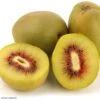 Kiwi - Actinidia Deliciosa Kiwi Wonder -Plantes Vertes Boutique Actinidia deliciosa Wonder 84702 1