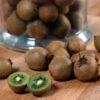Kiwi Jenny (autofertile) Bio -Plantes Vertes Boutique Kiwi Jenny autofertile Bio en pot de 1 5L 2L 781309 1