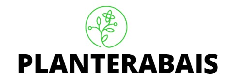 Plantes Vertes Boutique